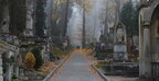 Загроза вибуху: у Львові на кладовищах евакуювали 64 людини