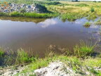 Пішли купатись без дозволу: на Чернігівщині у ставку потонули двоє братів