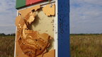 Розстріляний знак на кордоні з Білоруссю: українські прикордонники першими виявили пошкодження (фото)