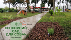У Львові функціонує перший сенсорний сад для собак (фото)