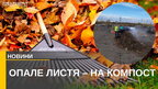 Компостування листя у Львові: як можна зекономити на прибиранні опалого листя (відео)