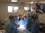 Медики у Дніпрі зупинили серце дитині на 5 годин й провели унікальну операцію (фото)