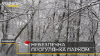 У Львові на жінку в Стрийському парку впала гілка – у неї перелом хребців (відео)