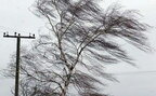 Сильний вітер: на Львівщині знеструмило понад 60 населених пунктів
