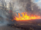 В Одесі горить національний парк: через сильний вітер вогонь може розповсюдитись (відео)