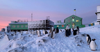 Діти побачать пінгвінів: українські полярники проведуть для малечі онлайн уроки