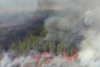 Підвищення рівня радіації: у Чорнобильській зоні горять понад 10 тисяч гектарів лісу