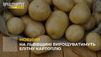 На Львівщині вирощуватимуть елітну картоплю (відео)