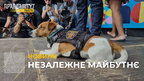 У Львові організували свято для дітей, на яке завітав "талісман рятувальників" пес Патрон (відео)