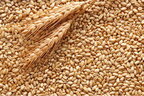 США співпрацюють з Україною, щоб вивезти зерно в Африку