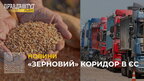 "Зерновий" коридор до ЄС: Україна і Угорщина хочуть збільшити кількість експортних маршрутів (відео)