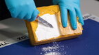 СБУ ліквідувала канал контрабанди кокаїну з південноамериканського наркокартелю (фото)