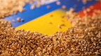 Росіяни продовжують красти українське зерно