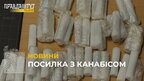 Львівські митники вилучили 50 картриджів до електронних сигарет з канабісом (відео)