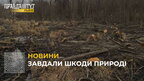 На Львівщині працівники держекоінспекції виявили черговий факт незаконної вирубки дерев