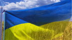 Болгарія заборонила імпорт продовольства з України