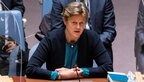 Британія розкритикувала лицемірство росії на засіданні Радбезу ООН