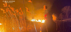 На Львівщини вчора гасили 9 пожеж сухої трави