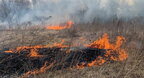 На Львівщині за добу загасили 4 пожежі сухостою