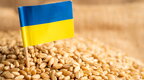 Молдова тимчасово не заборонятиме імпорт агропродукції з України
