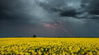 В Україні завтра короткочасні дощі та грози