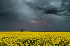 В Україні пройдуть дощі та грози