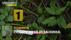 Подружня різанина на Львівщині: чоловік у нетверезому стані встромив кухонного ножа у груди жінці