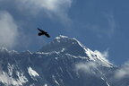 Гелікоптер з туристами розбився біля Евересту, загинуло п'ятеро