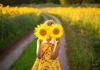 В Україні прогнозують до +33°