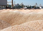 Російська атака на суховантажне судно Sukru Okan призвела до зростання світових цін на пшеницю