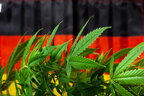 Уряд Німеччини має схвалити план лібералізації правил щодо канабісу