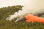 5000 гектарів у вогні та евакуйовано 4000 людей: на Тенеріфе велика лісова пожежа