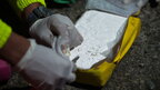 Прикордонники Польщі виявили кокаїну на майже $54 млн