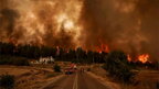 Дев'ятий день: масштабні лісові пожежі на північному сході Греції продовжують горіти