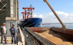 Страхування перевезень зерна з України: ООН веде перемовини з британською компанією
