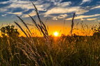 В Україні прогнозують до +28°