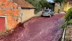 У Португалії червоним вином затопило вулиці міста