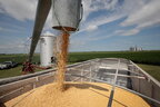 ЄС може надати Україні €1 млрд для викупу зерна