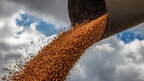 Польща готова запровадити безтермінове ембарго на українське зерно