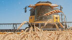 ЄС закликає до конструктиву в питанні зерна з України