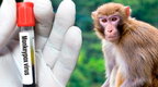 У Китаї виявили перший випадок мавпячої віспи