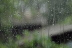 В Україні прогнозують короткочасні дощі й сильний вітер
