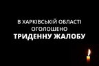 Терористична атака російських військових по с. Гроза стала найкривавішим злочином рф на Харківщині