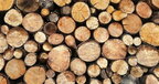 Україна за кошти партнерів закупить дрова на 2,6 млрд гривень