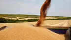 Єгипет забронював майже пів мільйона тонн пшениці з рф