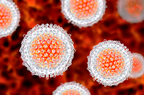 На Вінниччині зафіксовано спалах вірусного гепатиту А: 60 людей госпіталізовано