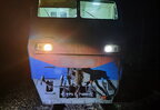 На Житомирщині пасажирський потяг збив на смерть 78-річну жінку