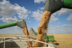 Україна вже експортувала майже 11 мільйонів тонн зернових та зернобобових