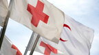 Міжнародний Червоний Хрест призупинив членство білорусі