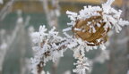 В Україні прогнозують від 10° морозу до 5° тепла